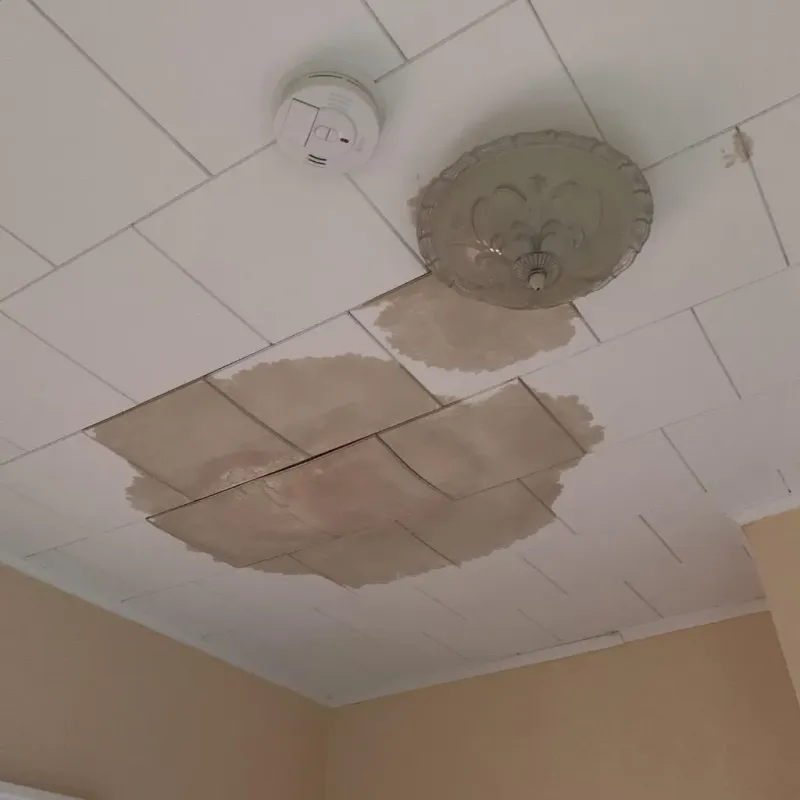 Ceiling Water Damage Repair in Rendon, TX