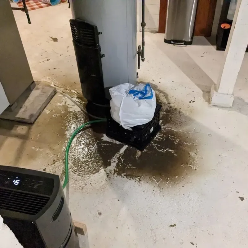 Sewage Backup Cleanup Service in Rendon, TX